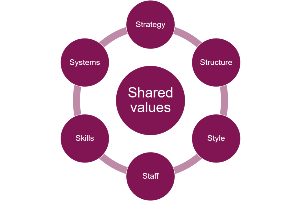 McKinsey 7S Model